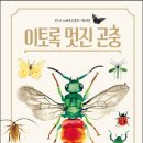 도서출판 단추