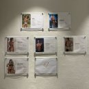 휘트니스요가 | 선정릉역 요가 클래시휘트니스 선정릉점 헬스장 GX 수업 후기