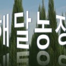 해달치킨 이미지