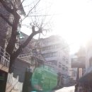 회현동 명소거리 남산옛길 이미지