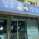 장수멍냥 이미지