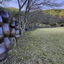 백화낚시터 이미지