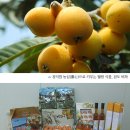 웰빙축산 - 부천시 원미구 옥산로150번길 5 | 웰빙축산