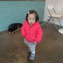 연세더자람소아청소년과의원 이미지