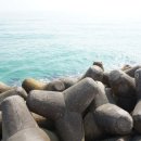 강일목장 이미지