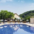 스팀 수영장 이미지