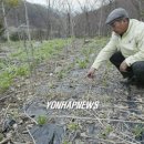 원창1리 이미지