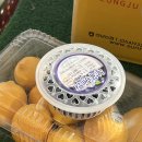 포항 야채 과일 고기 저렴한곳 이동 청년정육