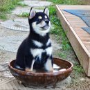 이상봉농장 이미지