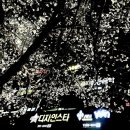 상남동144 이미지