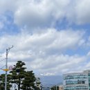 버스정류소_서귀포환승정류장 이미지