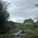 에덴 유치원 | 전남 담양 <죽녹원> 가을에 걸어본 대나무숲