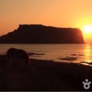 메종드오조락 이미지