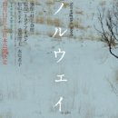 노르웨이의 숲 이미지