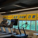 런핏트레이닝