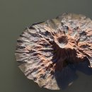 볼음저수지 이미지