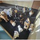 굿데이호텔 이미지