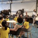 오호초등학교 이미지