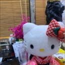 (주)바이오웰스팜 | 화곡 가양동 염창동 내성발톱 어르신 발톱 관리 잘하는 베티네일 내성발톱 무좀 발각질 문제성발