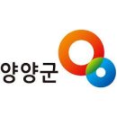 양양군청