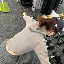 더 피지컬PT 이미지