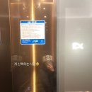 댕시티 이미지