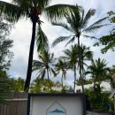 센스여행사(주) | 모리셔스 x 트로피칼 에티튜드 리조트 정리 x 후기 | TROPICAL ATTITUDE | 모리셔스 신혼여행 리조트 추천