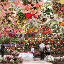 낙원파크 이미지