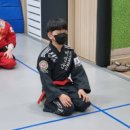 비연무예태권도 이미지