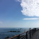 초곡용굴촛대바위카페 | 삼척 가볼 만한 곳, 초곡용굴촛대바위길 방문 후기｜동해 바다를 한눈에 담을 수 있는 아름다운 해안...