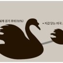 블랙스완마켓