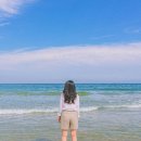 들꽃펜션 | [국내여행/일정] 여름에만 즐길 수 있는 국내 여행 코스