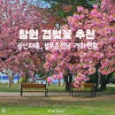 성산패총로-1 이미지