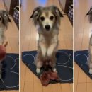 시민상가 이미지