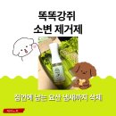 강쥐생각 | 강아지탈취제 똑똑강쥐 집안에 남는 요산 냄새까지 싹! 직접 사용 후기