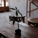 고운동_고운동(마음안로)2 | 너른담 | 세종 고운동 카페 유럽 감성 미장 작업실