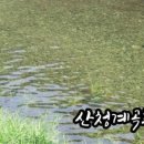 맑은산장농원 이미지