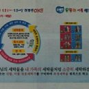 상쾌한운동화이불빨래