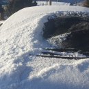 광림농원 이미지