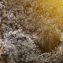 동신대학교 미래학사 앞 이미지