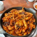 조가네갑오징어 이미지