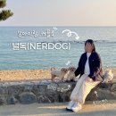 널독(NERDOG) 네이버블로그