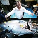 참치한판 이미지