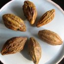 허한의원 이미지