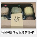 심빚 이미지