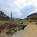장남리 Daum카페