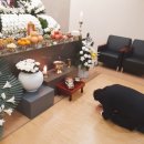 푸른솔병원