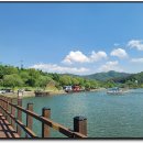 2025년 08월 정기산행 __ 파로호 수달 길 ^^ 이미지