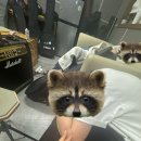 세종스타워시 | 종강이여 오라 내게로