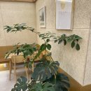텐퍼센트아산탕정유니콘101점